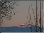 foto Pendici del Monte Grappa in Inverno